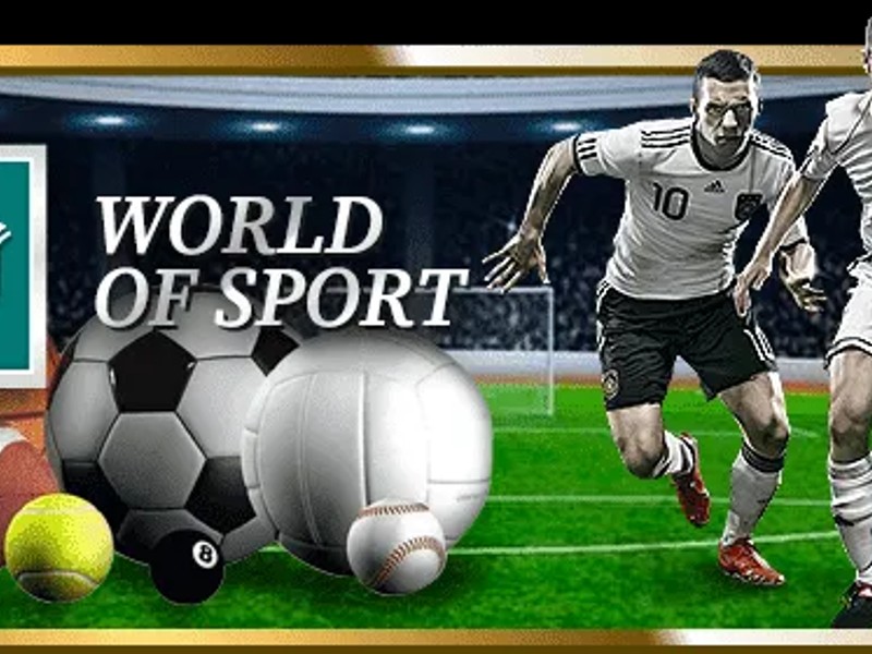 Biểu tượng hoàn trả cược thua cho người mới